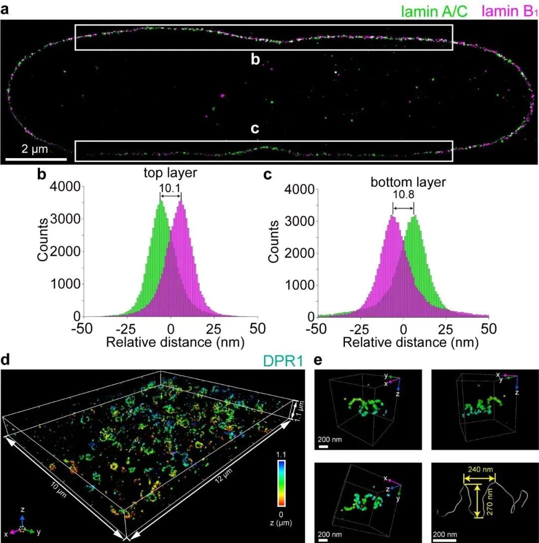 9f94df85-99ac-4840-8b30-ced3b82c8da1.jpg 9f94df85-99ac-4840-8b30-ced3b82c8da1.jpg